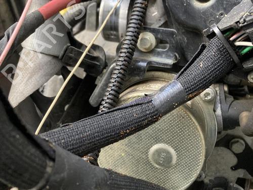 Engine RENAULT KANGOO Express (FW0/1_) 1.5 dCi 75 (FW07, FW10, FW04) | BP32660779M1