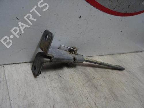 Hinge/Door check strap RENAULT KANGOO Express (FW0/1_) 1.5 dCi 75 (FW07, FW10, FW04) | BP13129928C146 
