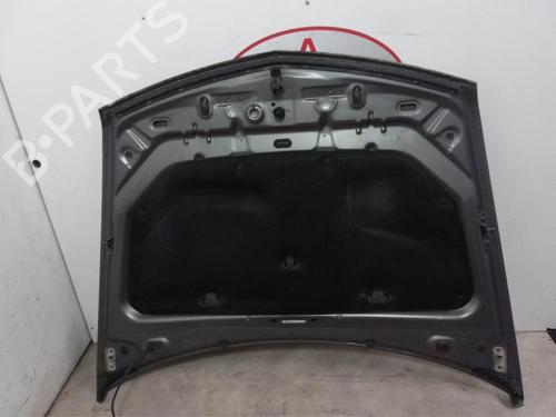 Hood RENAULT VEL SATIS (BJ0_) 2.0 dCi (BJ03) | BP20632567C1