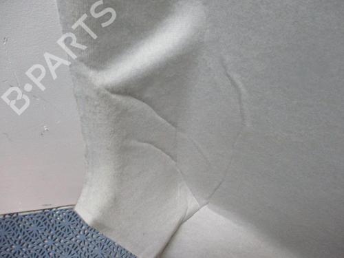 Innendach für RENAULT ZOE (BFM_) ZOE (88 hp) 20633949