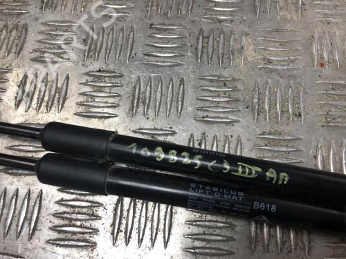 Tailgate lift support CITROËN C3 III (SX) 1.2 VTi 82 | BP31204117C138