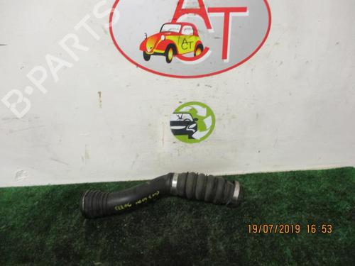 Rør RENAULT CLIO III (BR0/1, CR0/1) 1.5 dCi (BR17, CR17) (86 hp) 13132051