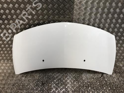 hood-renault-clio-iii-br01-cr01-2005-2006-2007-2008-2009-2010-2011-2012-2013-2014-36947757 main image