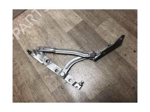 Hinge/Door check strap VOLVO S40 II (544) 1.6 D | BP20619171C146