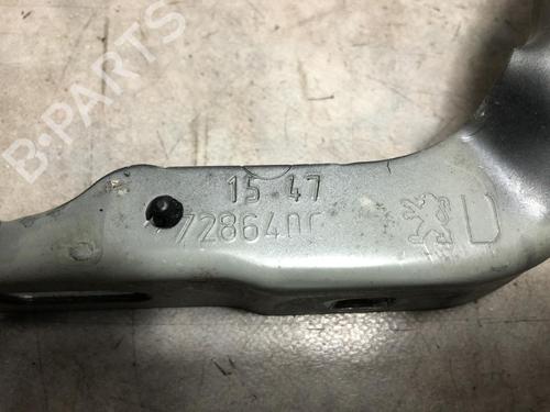 Hinge/Door check strap PEUGEOT 208 I (CA_, CC_) 1.6 BlueHDi 100 | BP20127356C146