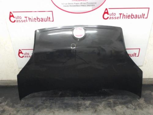 Used Hood FIAT FIORINO Box Body/MPV (225_) 1.3 D Multijet (225BXD1A, 225BXB1A, 225BXB11) (75 hp) 24979505