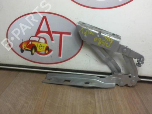Hinge/Door check strap VW GOLF V (1K1) 1.9 TDI | BP13128421C146 