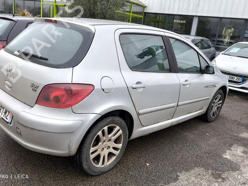Left front door PEUGEOT 307 (3A/C) 1.6 HDi 110 | BP31198890C2 