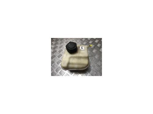 Used Expansion tank NISSAN QASHQAI / QASHQAI +2 I (J10, NJ10, JJ10E) 2.0 All-wheel Drive (141 hp) 25915983