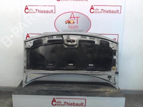 Hood FORD GALAXY I (WGR) 1.9 TDI | BP13264793C1 