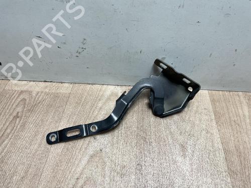 Used Hinge/Door check strap LANCIA MUSA (350_) 1.3 D Multijet (350.AXB11, 350.AXB1A) (70 hp) 13264750