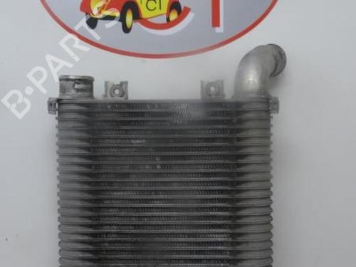 Used Intercooler HYUNDAI SANTA FÉ I (SM) 2.0 CRDi 4x4 (113 hp) 24298536