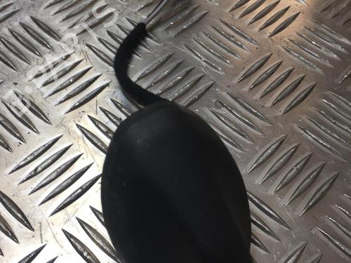 Antenne/Base FORD FIESTA VII (HJ, HF) 1.1 Ti-VCT (86 hp) 31204987