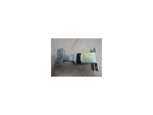 Used Hinge/Door check strap RENAULT KANGOO / GRAND KANGOO II (KW0/1_) 1.5 dCi 85 (KW0K, KW0L, KW0B) (86 hp) 13227755