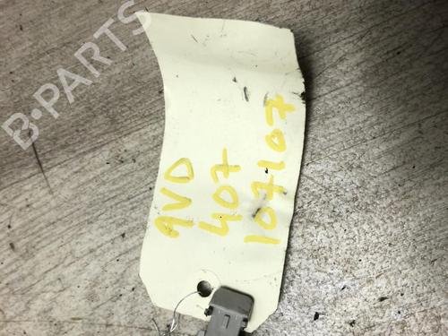 Used Interior roof handle PEUGEOT 407 (6D_) 2.0 HDi 135 (6DRHRH, 6DRHRE, 6DRHRG, 6DRHRJ) (136 hp) 20618290