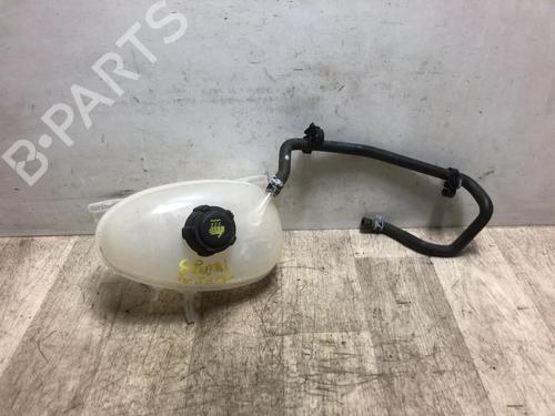 Ekpansionstank RENAULT TWINGO III (BCM_, BCA_) 0.9 TCe 90 (BCM9, BCM2) (90 hp) 20624940