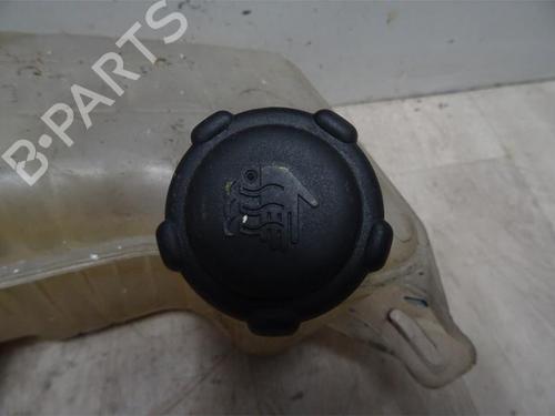 Expansion tank RENAULT MEGANE II Coupé-Cabriolet (EM0/1_) 1.5 dCi (EM1E) | BP13273979C120 