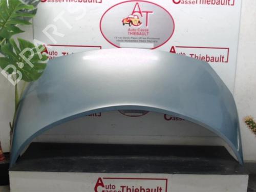 Used Hood RENAULT GRAND SCÉNIC II (JM0/1_) 1.9 dCi (JM0G, JM12, JM1G, JM2C) (120 hp) 20486442