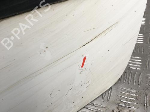 Left front door PEUGEOT PARTNER Box Body/MPV 1.6 HDi 16V | BP31031869C2 