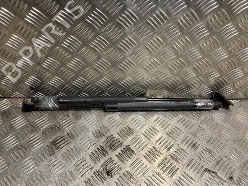 Gasdæmper bagklap RENAULT SCÉNIC III (JZ0/1_) 1.5 dCi (110 hp) 31201248