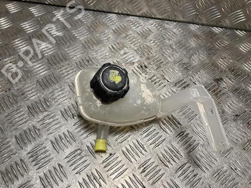 Used Expansion tank Expansion tank RENAULT MEGANE E-TECH SUV EV60 (BNJ1) (218 hp) 36166971 36166971