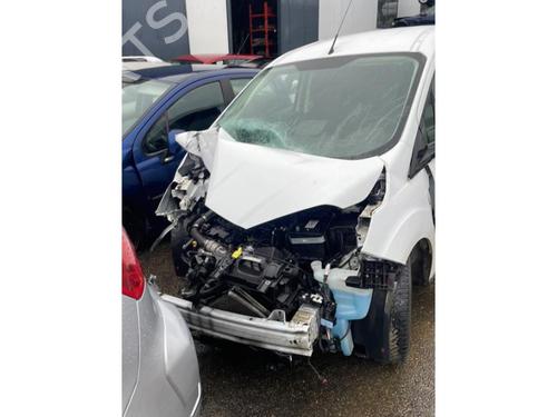 Licence plate light FORD TRANSIT COURIER B460 Box Body/MPV 1.5 TDCi | BP25148497I40 