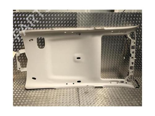 Interiør taket RENAULT ESPACE V (JR_) 1.6 dCi 160 | BP28287759I12