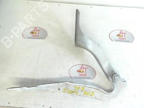 Hinge/Door check strap PEUGEOT 308 SW I (4E_, 4H_) 1.6 HDi | BP13131511C146