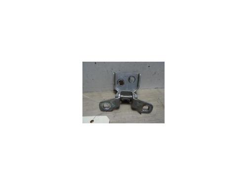 Used Hinge/Door check strap DACIA SANDERO 1.4 (BS0C, BS0A, BS0G, BS1F, BS0E) (75 hp) 13227614