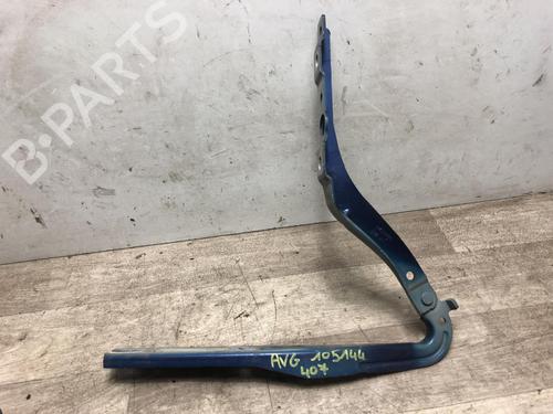 Used Hinge/Door check strap Hinge/Door check strap PEUGEOT 407 (6D_) 2.0 HDi 135 (6DRHRH, 6DRHRE, 6DRHRG, 6DRHRJ) (136 hp) 23871657 23871657