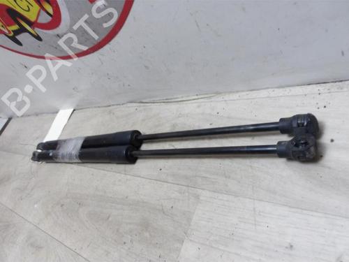 Tailgate lift support RENAULT CLIO IV (BH_) 1.5 dCi 75 | BP20620603C138 