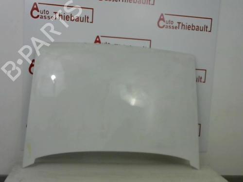 Used Hood Hood RENAULT RAPID Box Body/MPV (F40_, G40_) 1.1 (F40H) (45 hp) 30780705 30780705