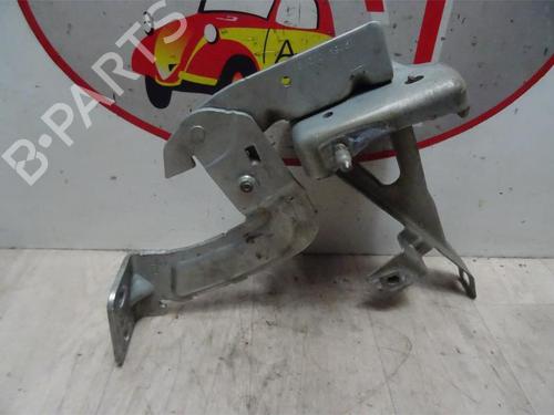 Hinge/Door check strap RENAULT KANGOO (KC0/1_) 1.6 16V | BP13129786C146 