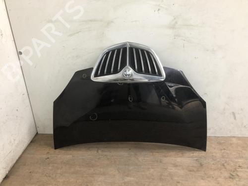 Used Hood LANCIA MUSA (350_) 1.9 D Multijet (350.AXC1A) (101 hp) 20627366