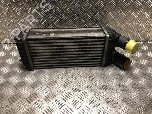 Intercooler Intercooler PEUGEOT 208 I (CA_, CC_) 1.6 HDi (92 hp) 33981828 33981828
