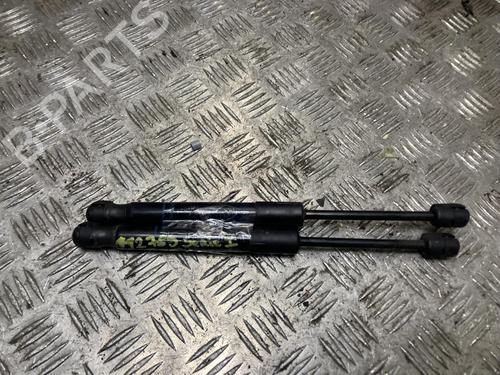 Used Hood lift support Hood lift support BMW 1 (F20) 114 d (95 hp) 34117491 34117491