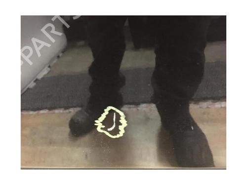 Left rear door LANCIA MUSA (350_) 1.3 D Multijet (350.AXB11, 350.AXB1A) | BP13284307C4 