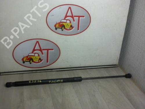 Used Tailgate lift support FORD FIESTA VI (CB1, CCN) 1.6 TDCi (90 hp) 13129223
