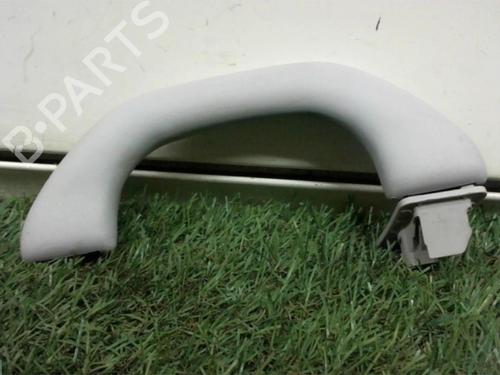 Interior roof handle VW GOLF V (1K1) 1.9 TDI | BP13264289I35 