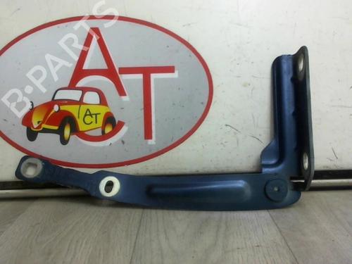 Used Hinge/Door check strap DACIA LODGY (JS_) 1.5 dCi (JSMC, JSAF) (107 hp) 13264702