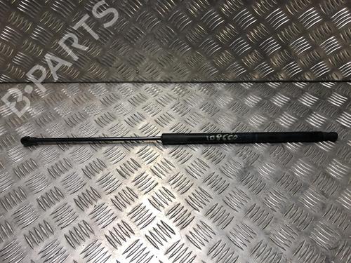 hood-lift-support-dacia-duster-hs_-2010-2011-2012-2013-2014-2015-2016-2017-2018-24104502 main image