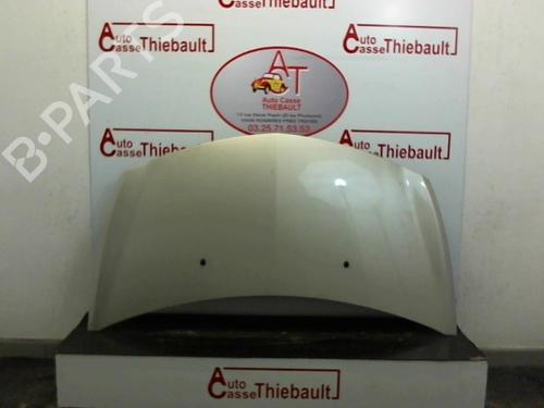 Used Hood RENAULT CLIO III (BR0/1, CR0/1) 1.5 dCi (BR17, CR17) (86 hp) 31199936