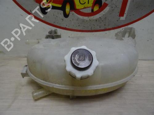 Expansion tank RENAULT MASTER II Platform/Chassis (ED/HD/UD) 2.5 dCi | BP13274020C120 