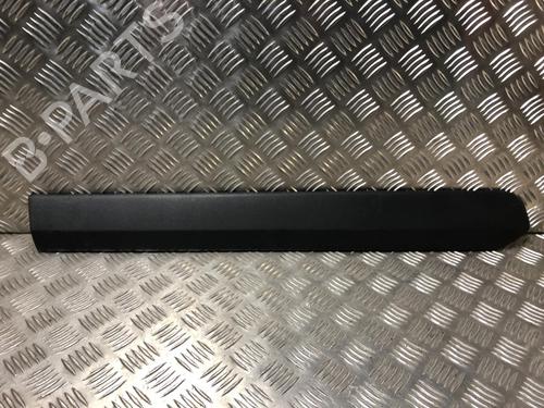 Used Door moulding trim FIAT DOBLO Bus (263_) 1.6 D Multijet (263AXH1A, 263AXL11, 263AXH1B) (90 hp) 31196288
