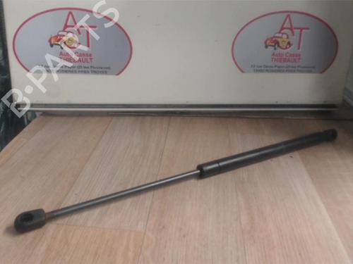 Tailgate lift support CITROËN C2 (JM_) 1.1 | BP13130999C138 