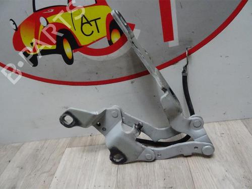 Hinge/Door check strap BMW 3 (E90) 320 i | BP13130029C146