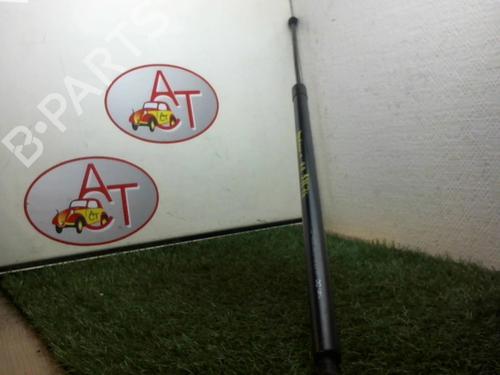 Used Tailgate lift support RENAULT KANGOO / GRAND KANGOO II (KW0/1_) 1.5 dCi 90 (KW05, KW08, KW0G, KW11) (90 hp) 14971551