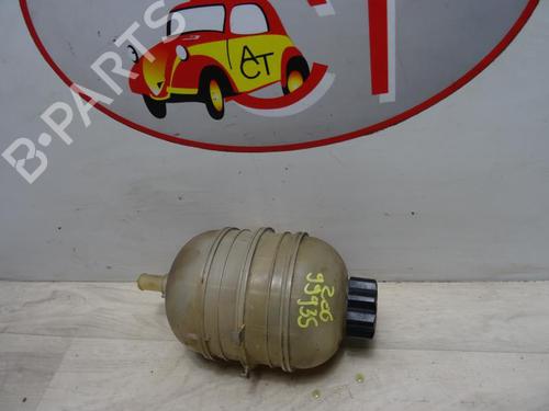 Used Expansion tank PEUGEOT 206 Hatchback (2A/C) 1.4 16V (88 hp) 13273992