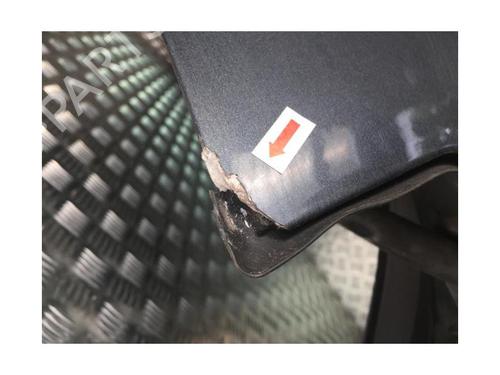 Tailgate RENAULT VEL SATIS (BJ0_) 2.2 dCi (BJ0E, BJ0F, BJ0G, BJ0H) | BP25464054C6 