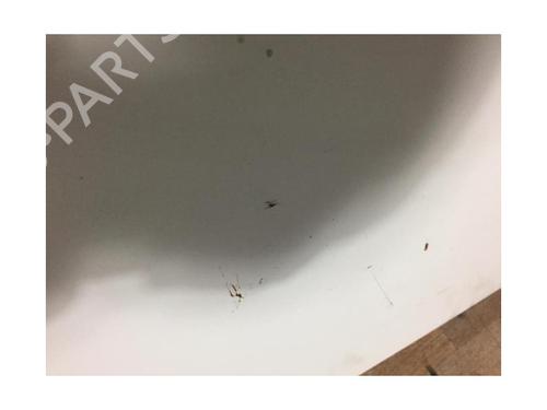 Hood RENAULT MASTER II Van (FD) 2.8 dTI (FD0C, FD0F, FD2B, FD2F, FD3C, FD3F) | BP13271992C1 